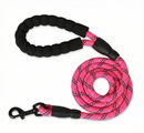 The Rambler (10 foot leash)