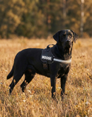 Howlr No-Pull Harness