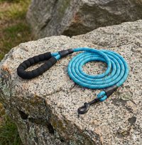 The Rambler (10 foot leash)