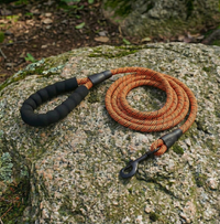 The Wanderer (15 foot leash)